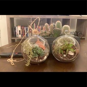 Meet your Posher, Monique